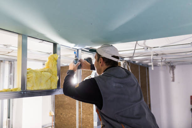 Best Commercial Insulation in Somers, WI